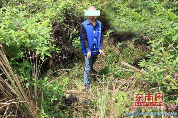 鸭脖官网登录